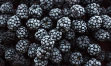 Load image into Gallery viewer, Frozen Blackberry
